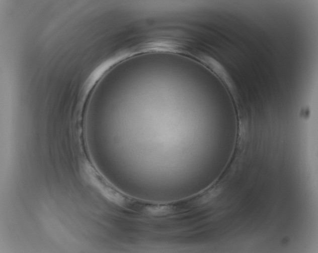 X0000113041435200908271454