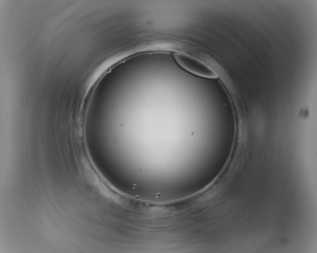X0000113041436200908271455