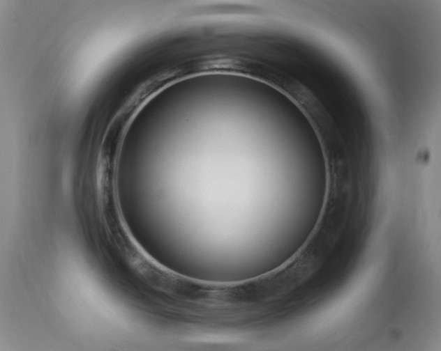 X0000113041438200908271455