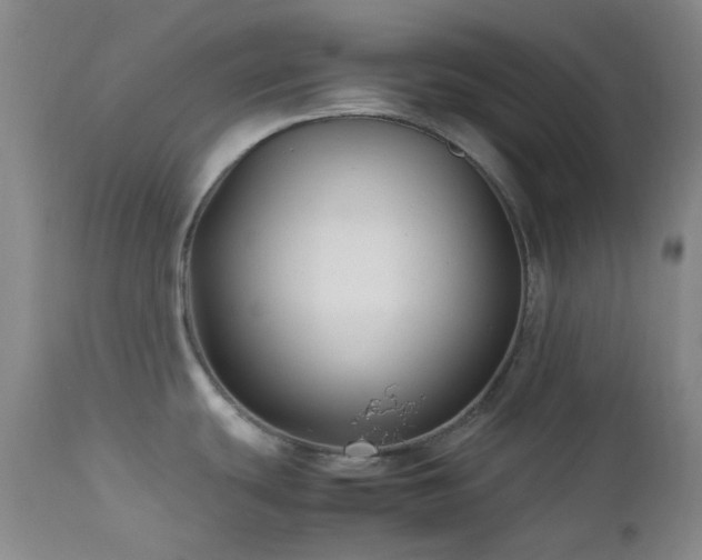 X0000113041439200908271455