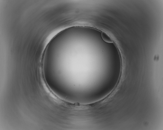 X0000113041440200908271455