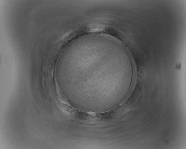 X0000113041441200908271454