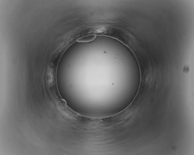 X0000113041442200908271454