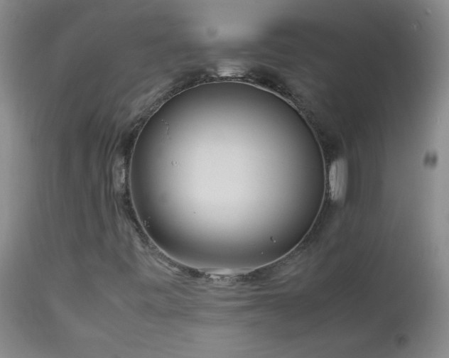 X0000113041443200908271454