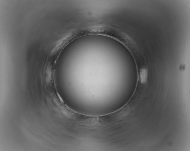 X0000113041444200908271454
