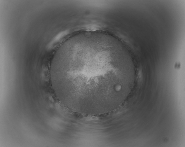 X0000113041446200908271454