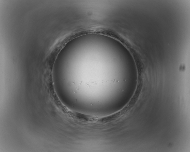 X0000113041447200908271454