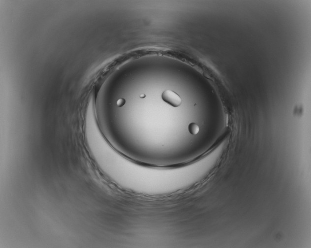 X0000113041448200908271454