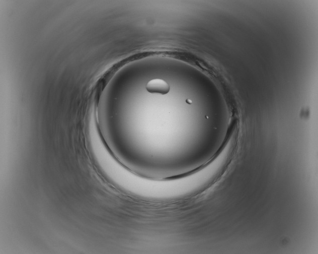 X0000113041449200908271454