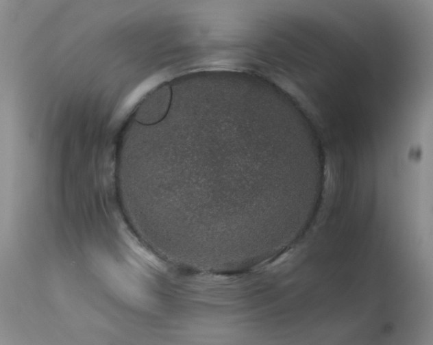 X0000113041450200908271454