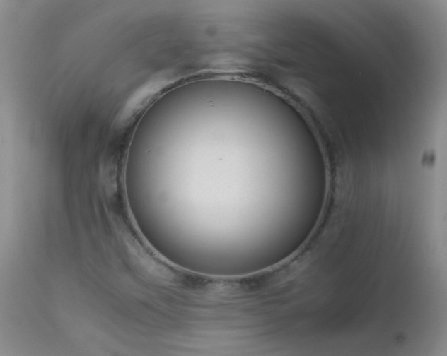 X0000113041451200908271454