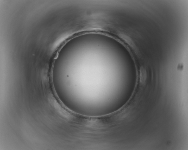 X0000113041452200908271454