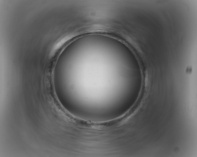 X0000113041453200908271454