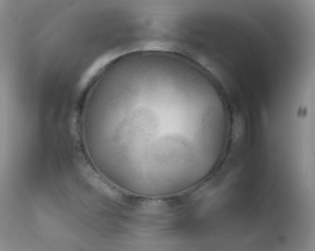 X0000113041454200908271454