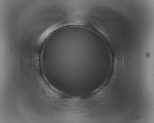 X0000113041455200908271454