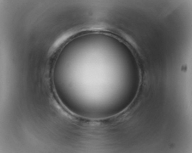 X0000113041456200908271454