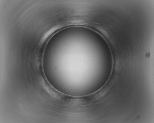 X0000113041458200908271453