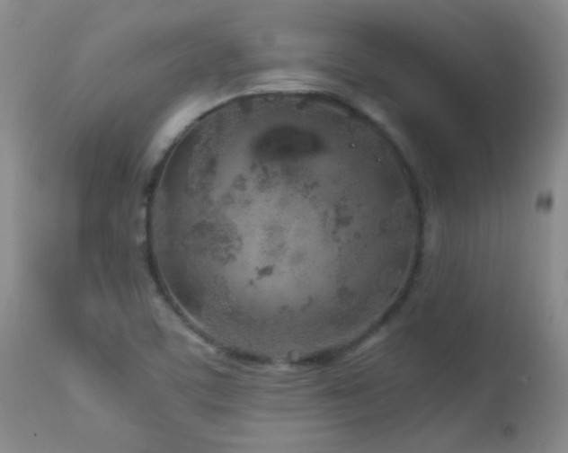 X0000113041459200908271453