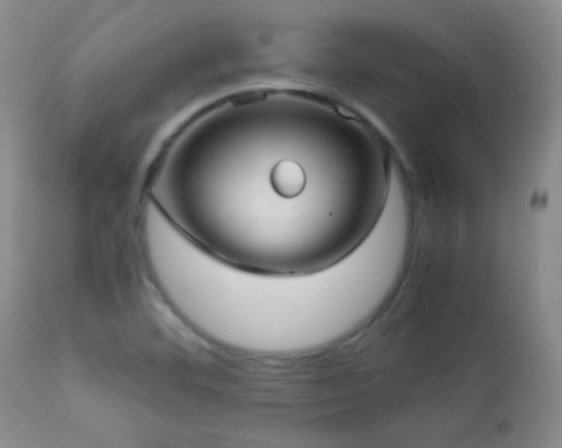 X0000113041460200908271453