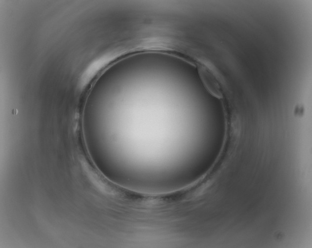 X0000113041461200908271453
