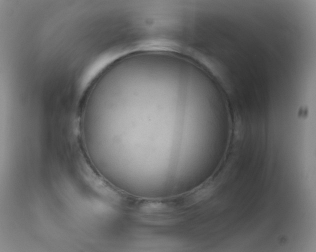 X0000113041462200908271453
