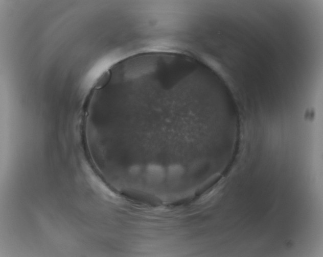 X0000113041463200908271453