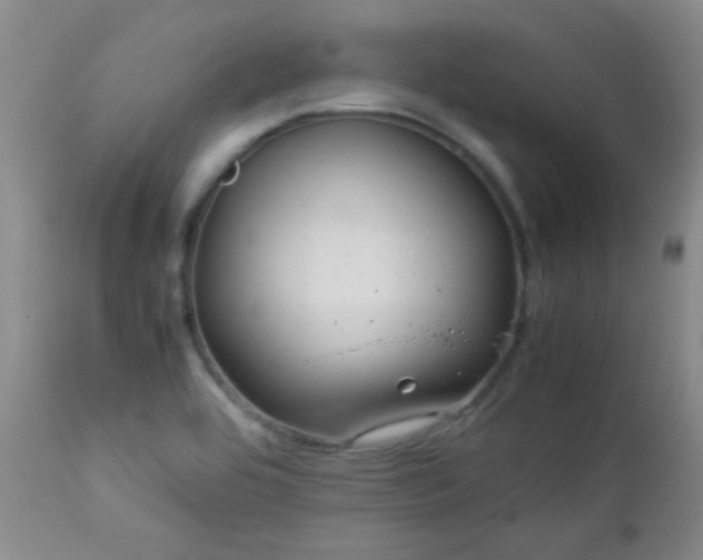 X0000113041464200908271453