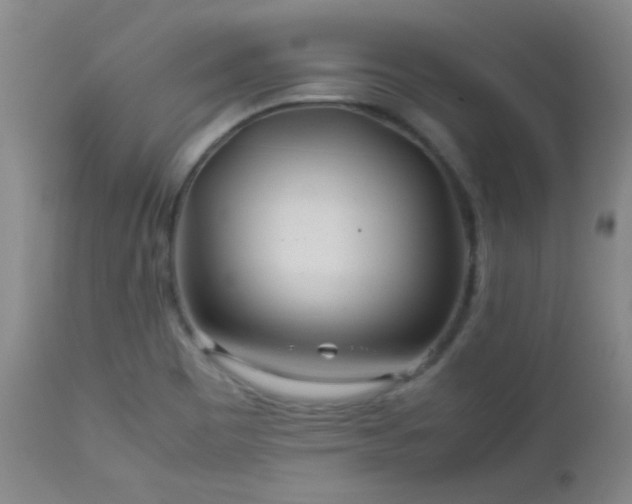 X0000113041465200908271453