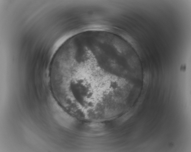X0000113041466200908271453