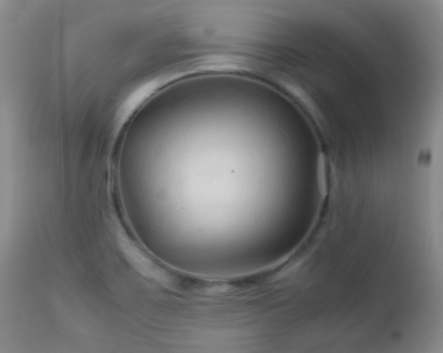 X0000113041467200908271453