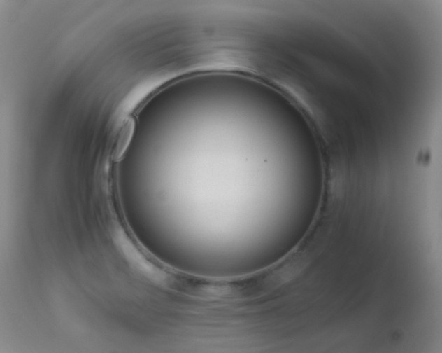 X0000113041468200908271453