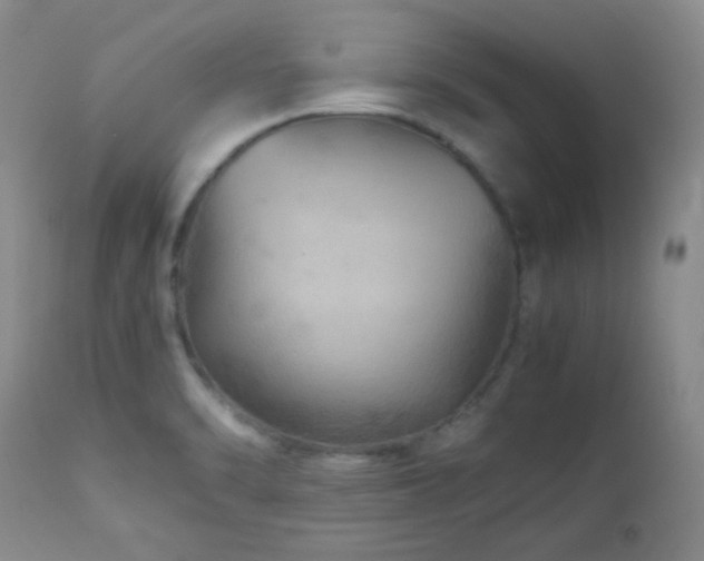 X0000113041470200908271453