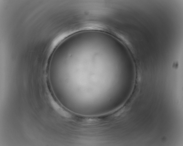X0000113041471200908271453