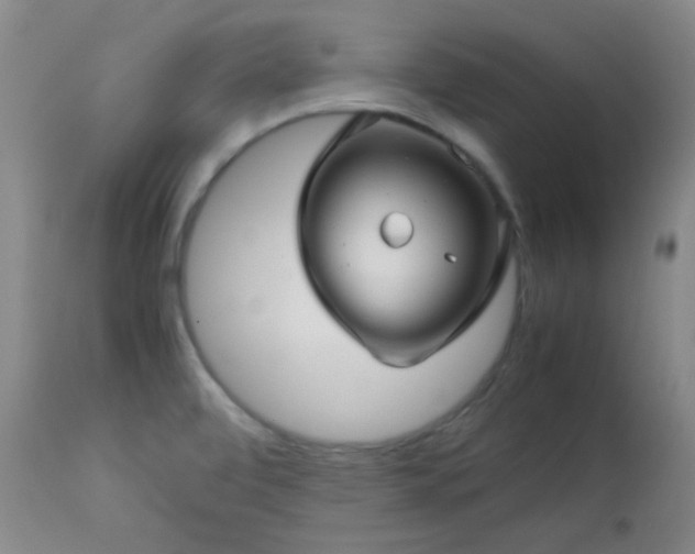 X0000113041472200908271453