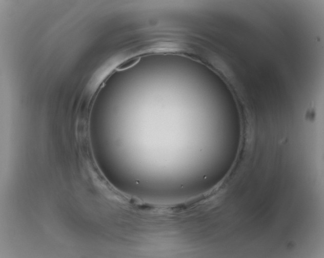 X0000113041473200908271453