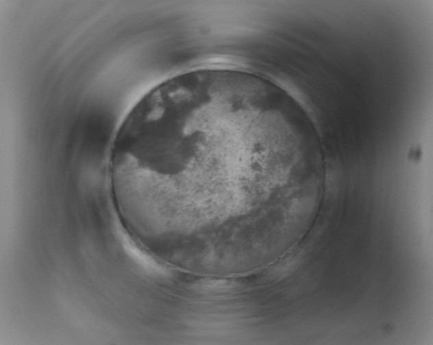 X0000113041474200908271453