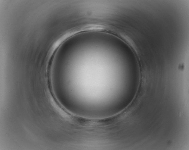 X0000113041475200908271453