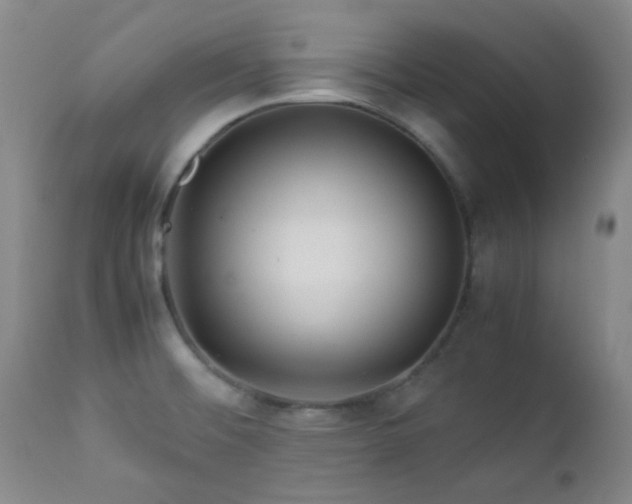 X0000113041476200908271453