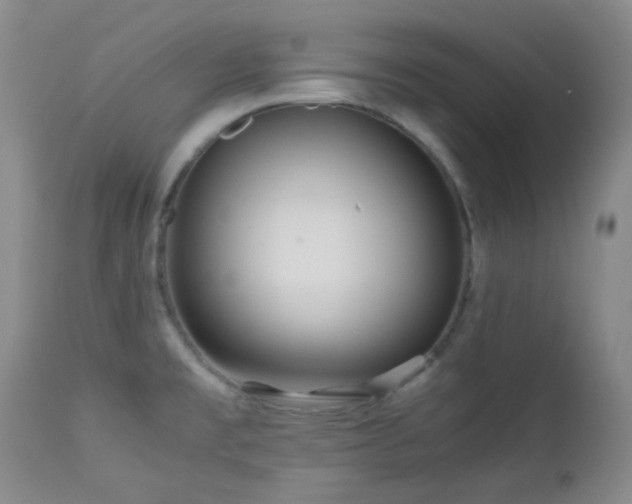 X0000113041477200908271453