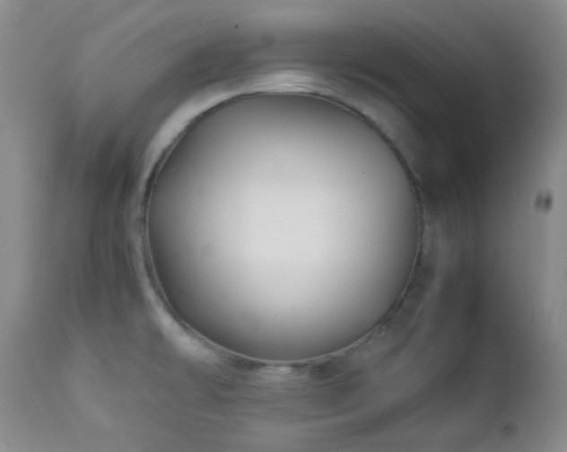 X0000113041478200908271453