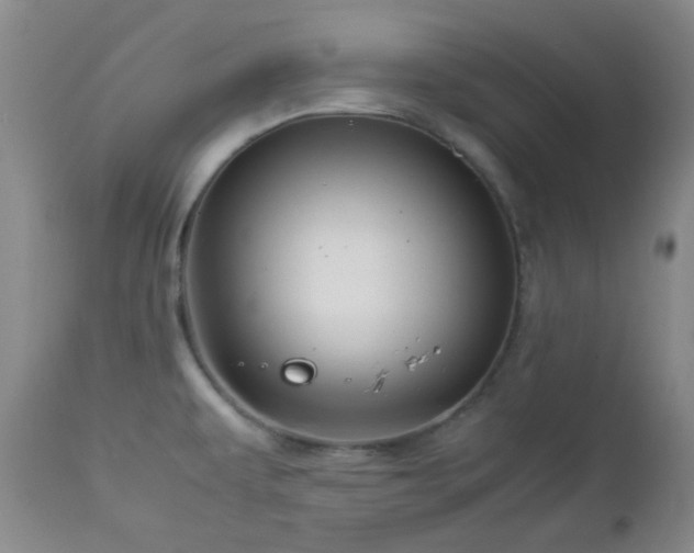 X0000113041479200908271453