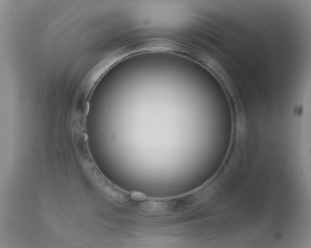 X0000113041481200908271453