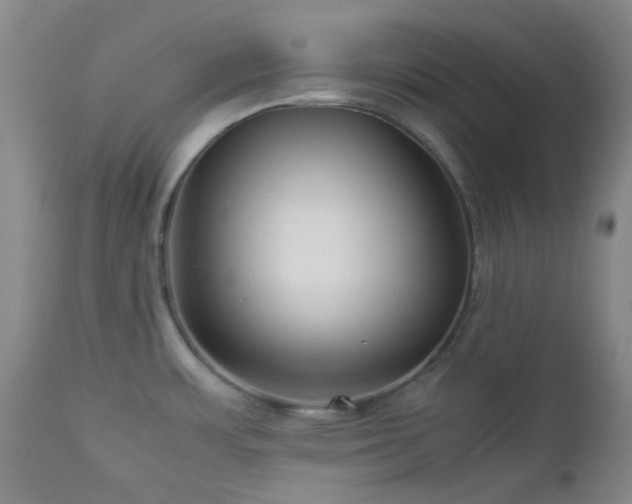 X0000113041483200908271453