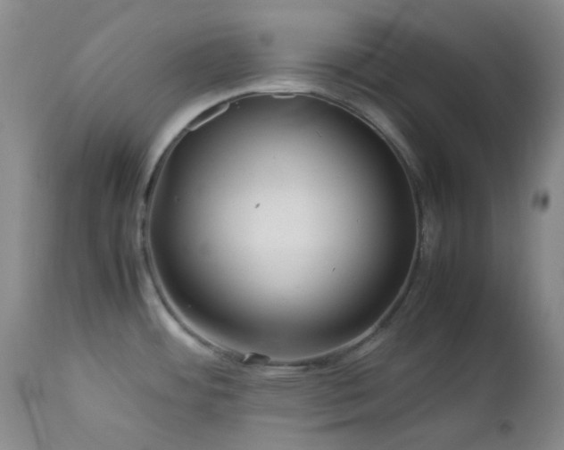 X0000113041484200908271453