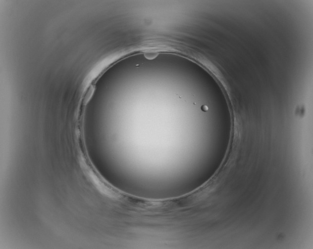 X0000113041485200908271453