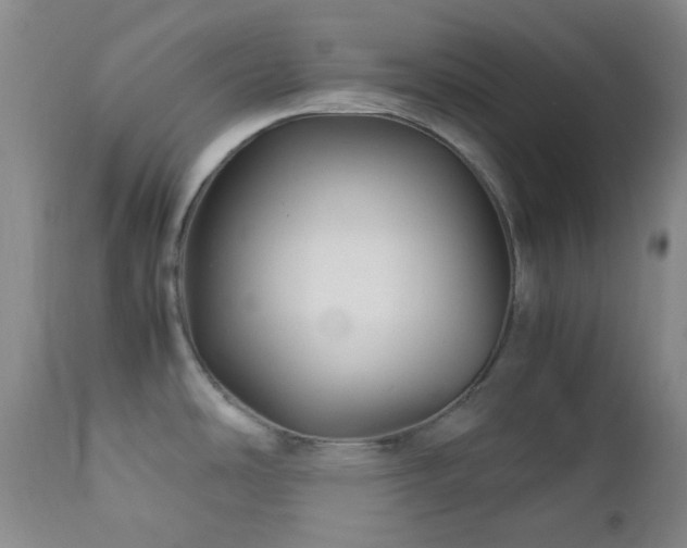X0000113041486200908271453