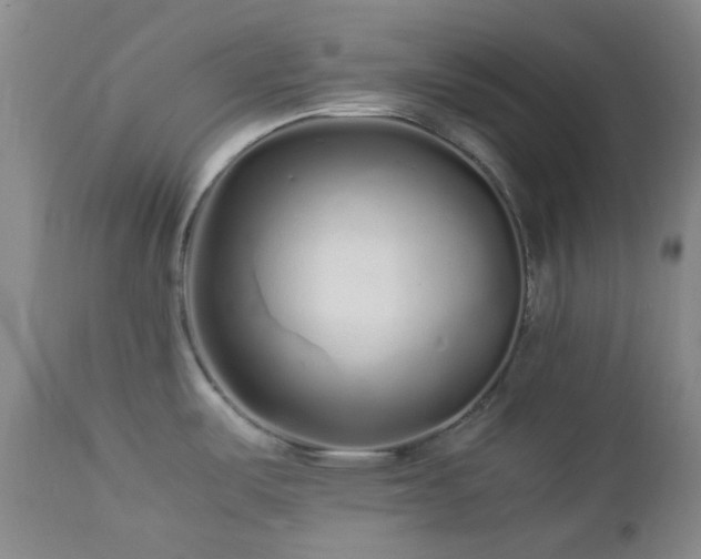 X0000113041487200908271453