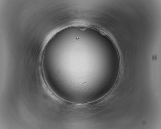 X0000113041488200908271453