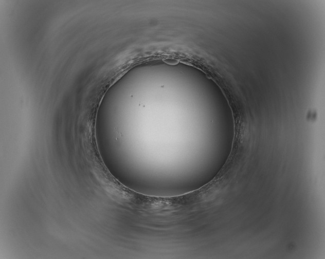 X0000113041489200908271452