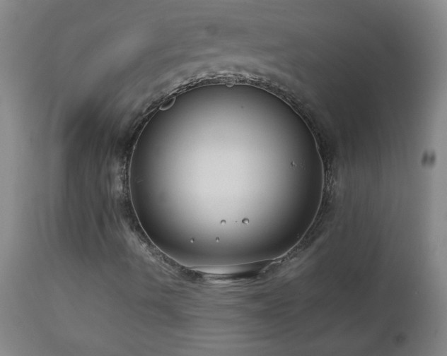 X0000113041490200908271452